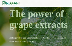 NeoGiANT Banner