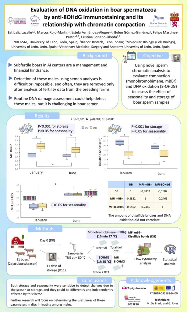 Póster sobre análisis avanzados de la cromatina de espermatozoides de cerdo, presentado en la X Edición del International Congress on Boar Semen Preservation, Vic, 2024.