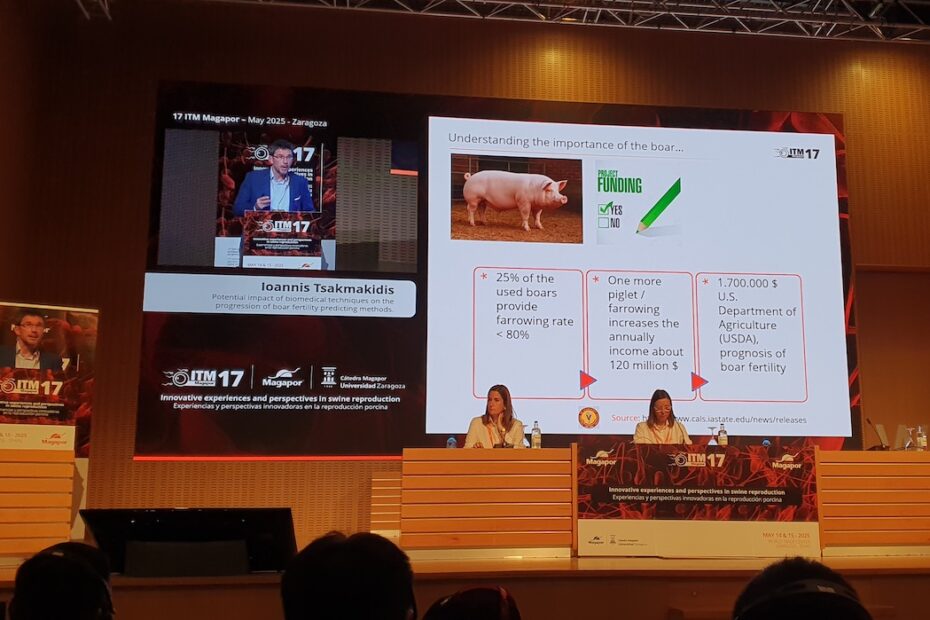 Dr. Tsakmakidis speaks about pig sperm quality at the WTC in Zaragossa, 17th ITM