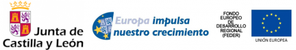 logo-JCyL-FEDER